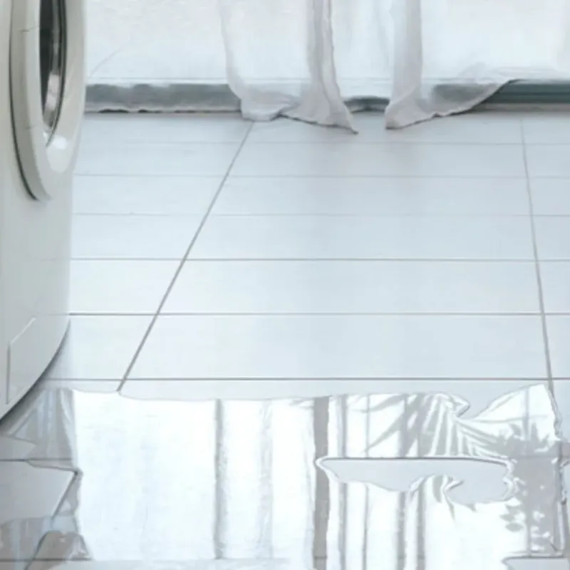 Appliance Leak Cleanup in Sun City, CA