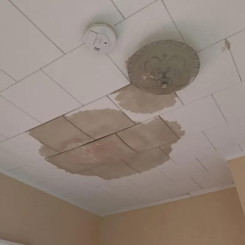 Ceiling Water Damage Repair in Sun City, CA