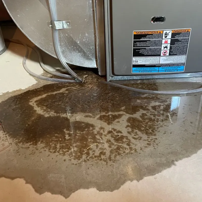 Pipe Burst and Leak Restoration in Sun City, CA